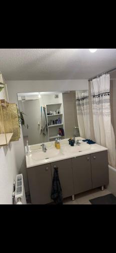 ein Bad mit einem Waschbecken und einem Spiegel in der Unterkunft Chambre dans un Appartement avec Parking privé in Toulouse