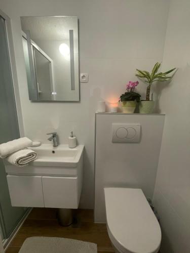 Old Town Watch&C في كورتْشولا: حمام مع حوض ومرحاض ومرآة