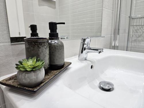 ミハスにあるPenthouse Atico Suite Mijasの2本のボトルと植物が置かれたバスルームのシンク