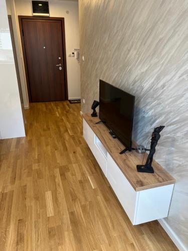 TV a/nebo společenská místnost v ubytování Tina Apartman Sokobanja