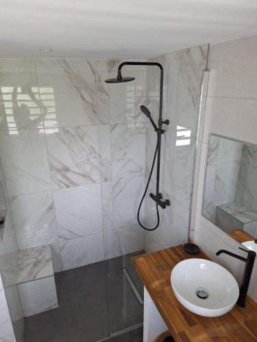a bathroom with a shower and a sink at Easy Friendly SXM in Cul de Sac