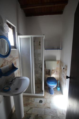 ein Badezimmer mit einer Dusche und einem blauen WC in der Unterkunft Casa Mar in Burgau