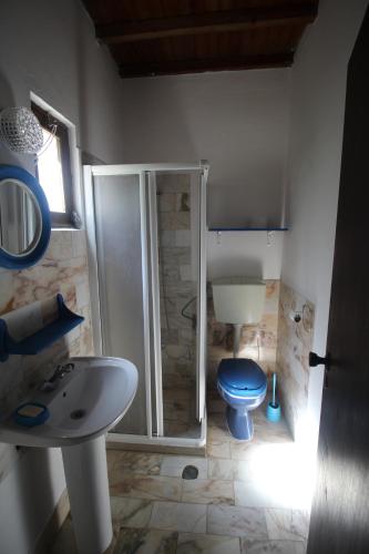 a bathroom with a shower and a blue toilet at Casa Mar in Burgau