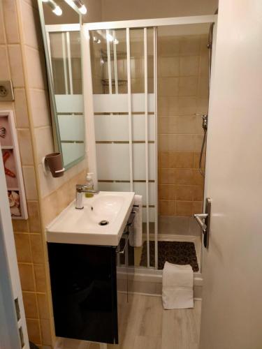 une salle de bain avec un lavabo et une douche dans l'établissement A051 Apartment with terrace in Cannes - 4 people, à Cannes
