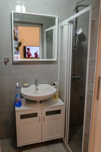 a bathroom with a sink and a mirror and a shower at Sen's Studio in Leskovac