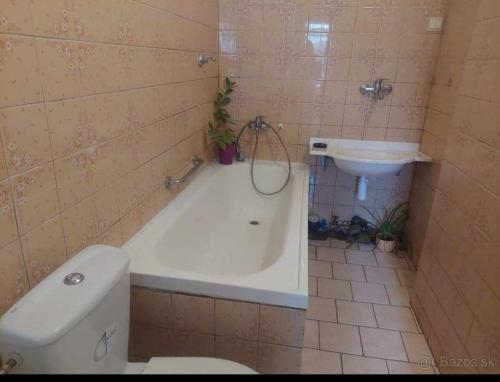 uma casa de banho com um WC, uma banheira e um lavatório. em Dom v centre Piešťan em Piešťany