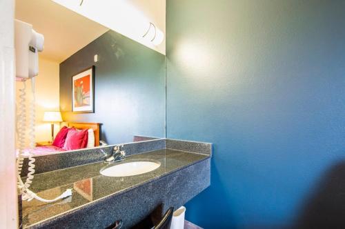 uma casa de banho com um lavatório e um espelho em Sierra Vista studio apartment with full kitchen and King Bed em Sierra Vista
