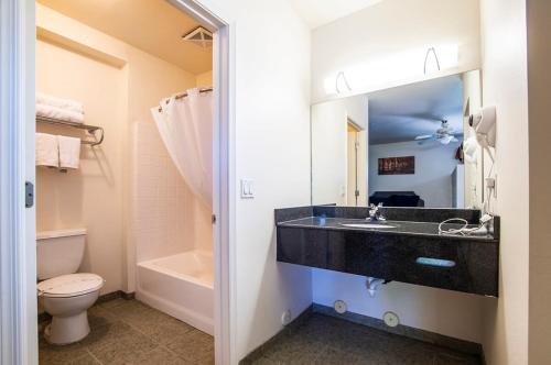 a bathroom with a sink and a toilet and a mirror at Vistas 216- Renovated central Sierra Vista long term discounts in Sierra Vista