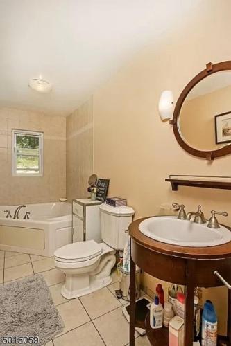 a bathroom with a toilet and a sink and a tub at Large Private House on 5 Wooded Acres. Total Privacy! in Hackettstown