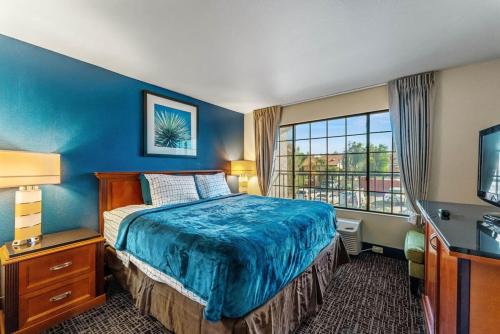 niebieska sypialnia z łóżkiem i oknem w obiekcie Tempe Studio Apartment 2 w mieście Tempe