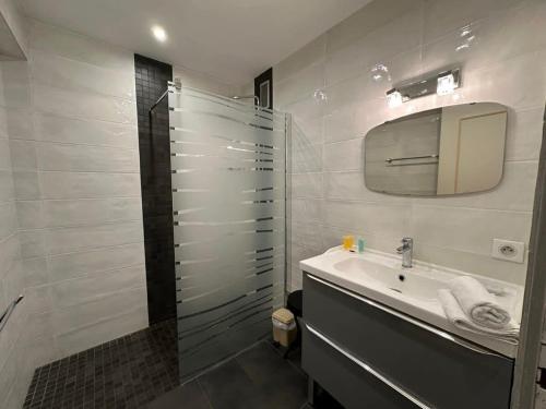 une salle de bain avec une douche, un lavabo et un miroir dans l'établissement A017-Charmant 2 pièces à 200M de la Croisette, à Cannes