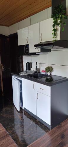 a white kitchen with a sink and a stove at Pokoje i apartamenty u Sabiny - DOSTĘP DO JACUZZI TYLKO W WYBRANYCH OPCJACH sprawdź poniżej szczegóły rezerwacji in Szczawnica