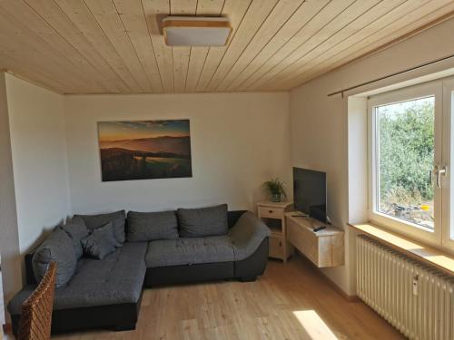 a living room with a couch and a television at Wohnung auf dem Pferdehof in Mahlberg