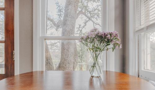 Galería fotográfica de UT Moody Twin Treehouse Stay en Austin