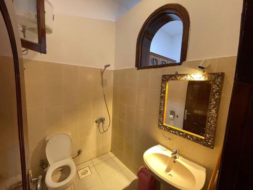 ein Badezimmer mit einem Waschbecken, einem WC und einem Spiegel in der Unterkunft Red oasis in Dahab