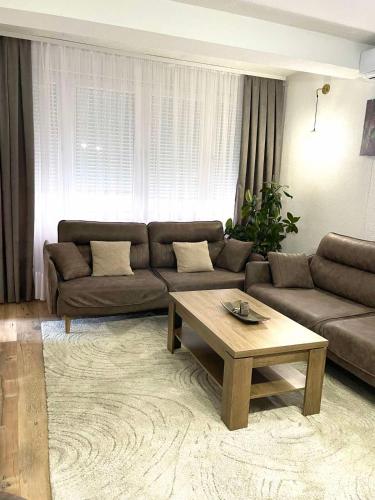 - un salon avec un canapé et une table basse dans l'établissement Nesi apartmenti, à Pristina
