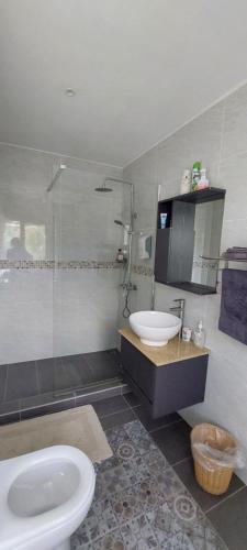 een badkamer met een toilet, een wastafel en een douche bij AJ Studio Apartment in Moka