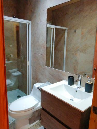 a bathroom with a toilet and a sink and a shower at Cabañas Loft Alto Arrayan Cochamó in Cochamó