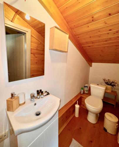 a bathroom with a white sink and a toilet at Crown Luxurious Residence in Arachova