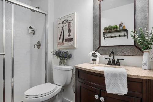 een badkamer met een toilet, een wastafel en een douche bij French Kiss Cottage Romantic Escape with Hot Tub in Stonewall