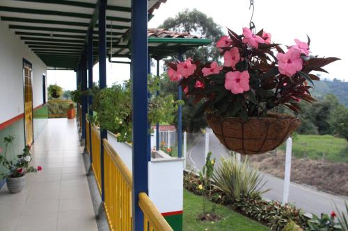 a porch with pink flowers in a hanging basket at Finca El Ovito in Santa Rosa de Cabal