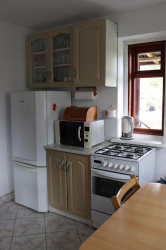 a kitchen with a white refrigerator and a microwave at Dom na Cichej in Krasnobród