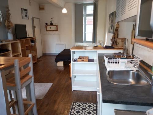 Il comprend une cuisine et un salon avec un évier et un comptoir. dans l'établissement STUDIO RDC au pied du château et balcon sur la vilaine, à Vitré