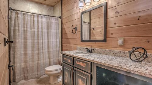 a bathroom with a toilet and a sink and a mirror at Hawksnest in Mashburn Mill