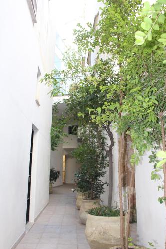 a hallway with trees and plants in a building at Corte Taddeo B&B in Galatina