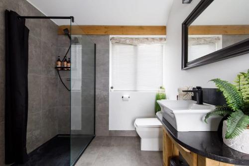 a bathroom with a sink and a toilet and a mirror at Stylish Getaway Vast Courtyard Hot Tub in South Mundham