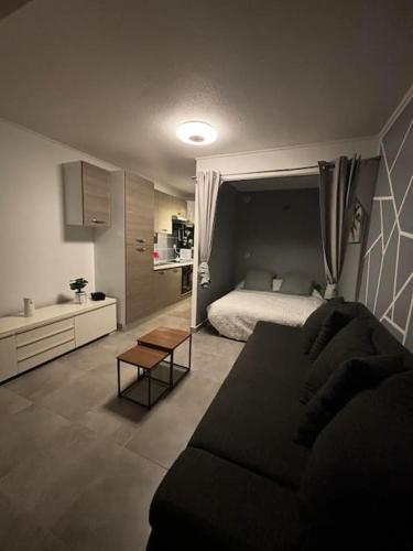 Cet appartement comprend une chambre avec un lit et un canapé ainsi qu'une cuisine. dans l'établissement *Studio agréable avec balcon et vue sur mer*, à Vallauris