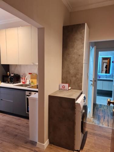 Η κουζίνα ή μικρή κουζίνα στο Sky Apartaments city center