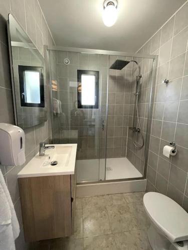 une salle de bain avec une douche, un lavabo et des toilettes dans l'établissement Appartement T2, 27 m2, rénové, à Carquefou