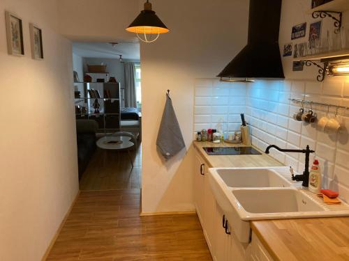 uma cozinha com um lavatório e uma bancada em Apartmán č.2 em Banská Štiavnica