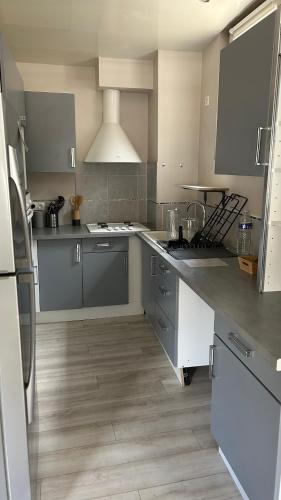 une cuisine équipée d'appareils en acier inoxydable et de placards gris dans l'établissement Maison de ville à 3 kilometre du centre de cognac , jacuzzi privée et disponible sur place, à Saint-Brice