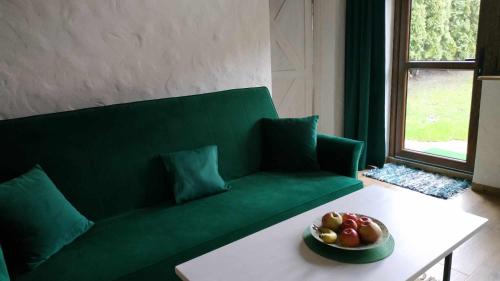 un sofá verde en una sala de estar con un bol de fruta en una mesa en Domek z kominkiem, Ukta 63, Mazury,, en Ruciane-Nida