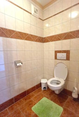 a bathroom with a toilet and a green rug at Appartement Fritzenwallner in Wagrain