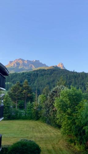 Studio La Case de l’Écureuil