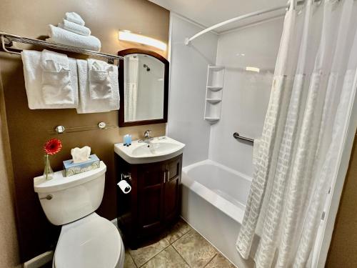 y baño con aseo, lavabo y ducha. en Blowing Rock Inn, en Blowing Rock