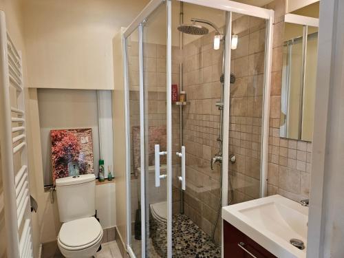 a bathroom with a shower and a toilet and a sink at Domaine de Belcayre in Montauban