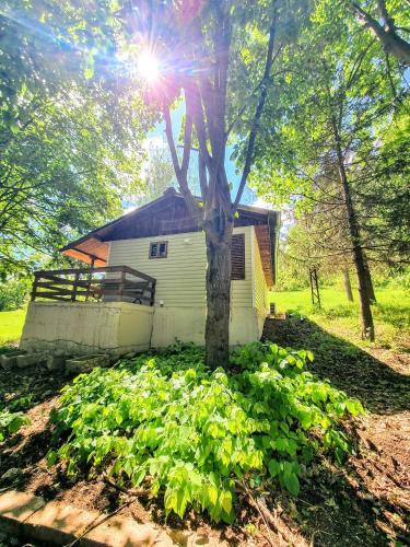 a white building with a tree in front of it at Къмпинг и Бунгала Брусен Хил - Camping and Bungalows Brusen Hill in Brusen