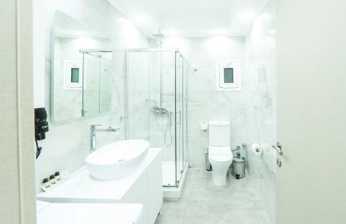 吉昂尼查的住宿－the 203，白色的浴室设有水槽和淋浴。