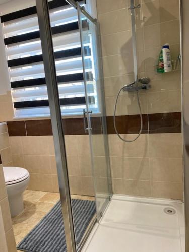 a bathroom with a shower and a toilet at CAMDEN TOWN PARKWAY ROOMS in London