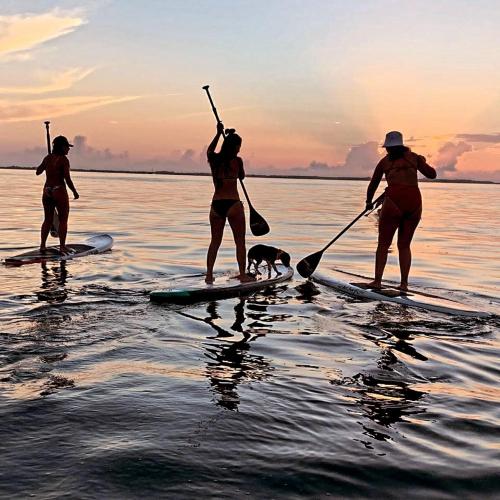 three women on paddle boards in the water with a dog at ON THE BEACH SURFERS SUNRISE HAVEN 3 in Cancún