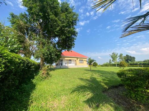 una casa con un árbol y un patio de césped en Unity Comfort Home, en Rukungiri
