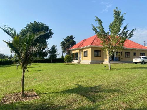 a house with a palm tree in front of a yard at Unity Comfort Home in Rukungiri