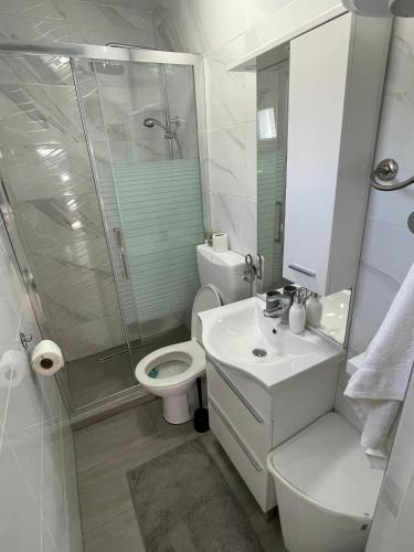 a bathroom with a toilet and a sink and a shower at Villa Ana in Posedarje