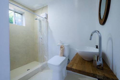 a bathroom with a toilet and a sink and a shower at Villa Grandi - Cas Grandi in Willemstad