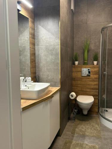 bagno con lavandino e servizi igienici di Apartament blisko stacji kolejowej a Mińsk Mazowiecki