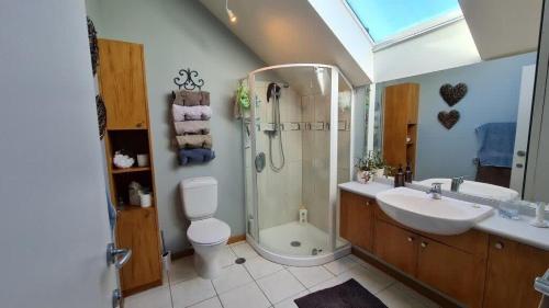 a bathroom with a shower and a toilet and a sink at Bay Views on Bay Vista in Pohara